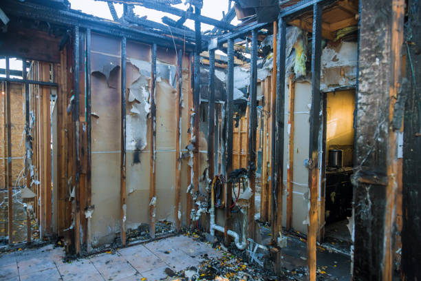 Professional Fire Damage Removal technician working in Honea Path, SC